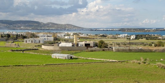 House Glisidia